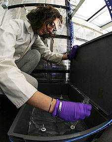 Frances taking samples from incubation bags in the bioassay container, in order to determine the bacterial consumption of DMS, an important process which diverts a lot of DMS from actually entering the atmosphere