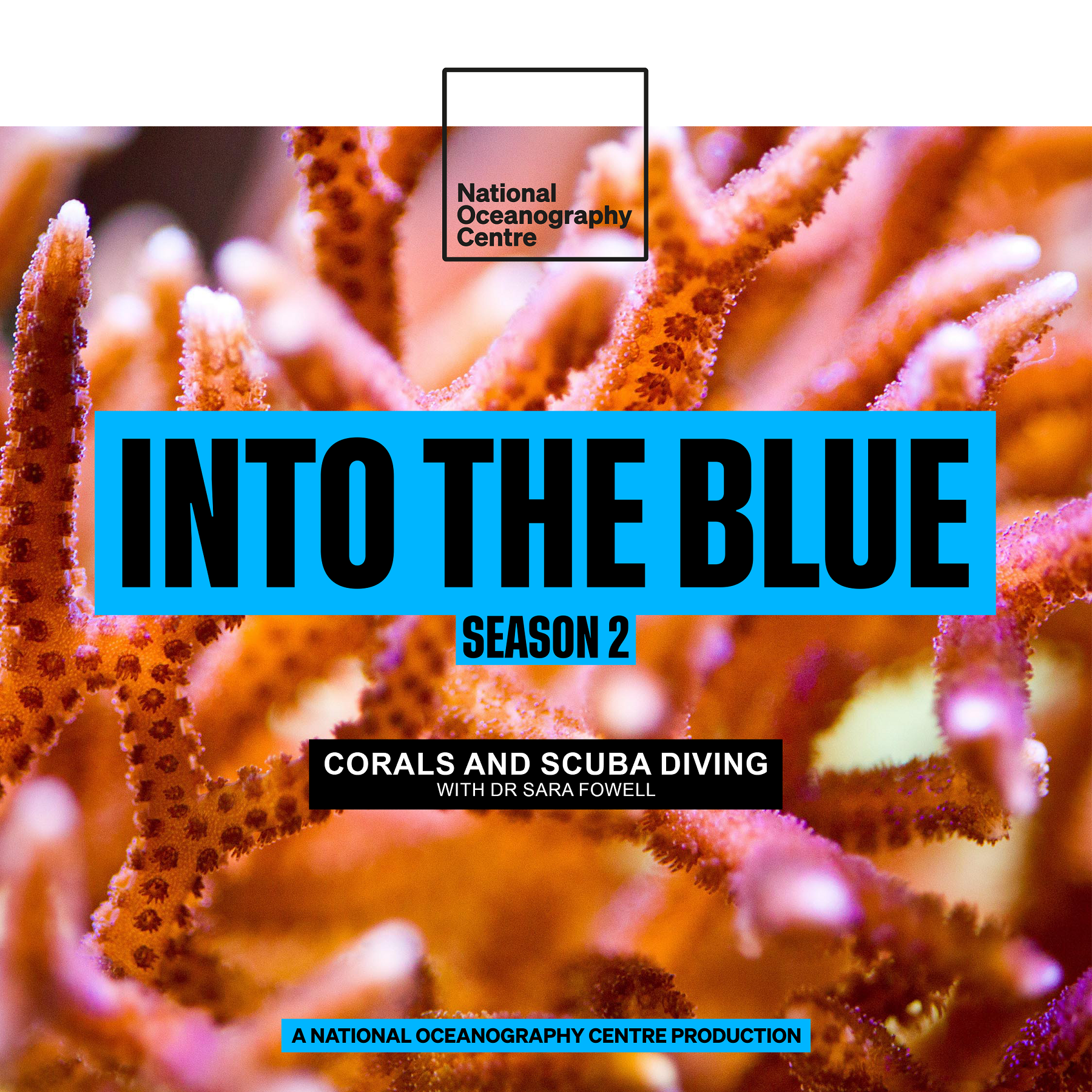 NOC Into the Blue Podcast / Blue Machine: What It Means to Be a