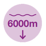 Bottom logo