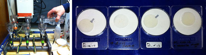 Left: Filtering water – the starting point of much of oceanography is water filtration, in this system a vacuum pump draws the water through a filter at the bottom of the collecting cup<br />Right: The final filters - a thin smear of plankton cells, from filtering 1/4 litre of seawater, discolours the surface of the filter