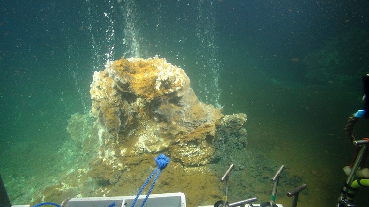 hydrothermal vent