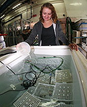 Laura feeding algae to the cold water corals in their ‘hotel’