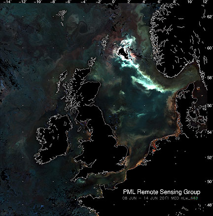 Pseudo-true colour composite satellite image from 8–14 June, with bloom (bright waters) SW of Norway