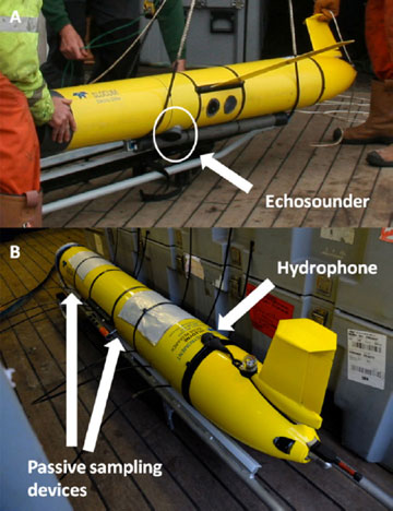 Submarine gliders prior to their deployment from the Isles of Scilly, showing locations of sensors for detecting fish (echosounder), dolphins and porpoises (hydrophone) and chemical pollutants (passive sampling devices)