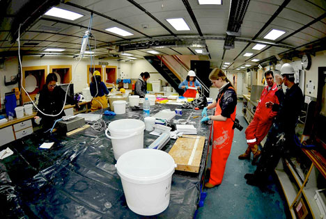 Lab work following the trawl