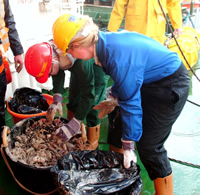 Inspecting the bizarre creatures of our trawl