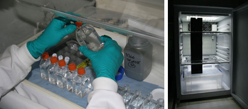 Left: Adding C14 to each bottle<br />Right: The incubator with one of the columns inserted