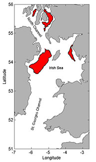 Nephrops norvegicus habitat in the Irish Sea