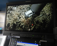 Footage of the ROV Holland 1 manipulator sampling a coral during the expedition on the RV Celtic Explorer (photo Leo Chaumillon)