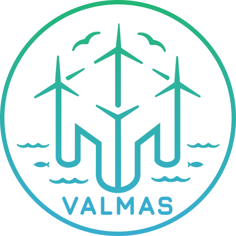 VALMAS logo
