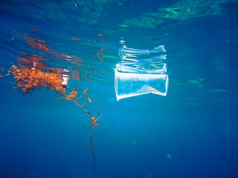 Microplastics research at the National Oceanography Centre | National ...