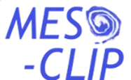 MESO-CLIP logo