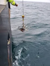 Deployment of benthich chamber in conunction with the Sandman instrument