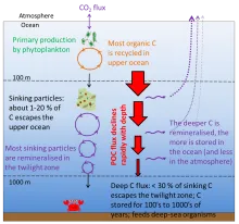 GOCART schematic detailed