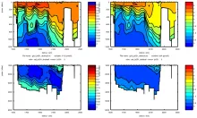 Cruise JC031 section plots SR1B: F113 (left) CCl4 (right)