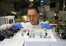 Photograph of Mark Stinchcombe