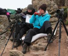 Alice Jones and Lavinia Suberg recording Balearic shearwaters and harbour porpoises from the Land’s End peninsula in SW England