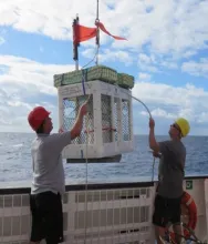 Benthic lander deployment photo