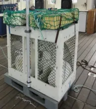 Benthic lander photo