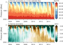 Density and salinity anomalies in the Labrador Sea