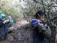 Part of the team measuring and tagging mangroves in the area.