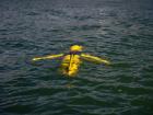 Glider in the water 