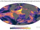 Global map of the number of months each ocean location experienced heatwave conditions in 2023, showing how large parts of each ocean basin experienced at least a few months of extreme heat.