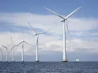  New report explores ecological impacts of offshore wind 