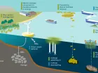  Scientists highlight research priorities for robust monitoring of marine carbon dioxide removal