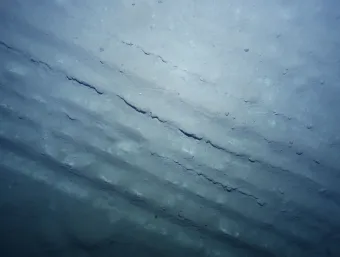 Evidence of the seafloor disturbance caused by previous simulated mining activity