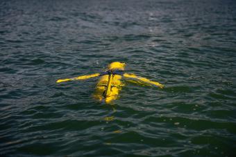 Glider in the water 