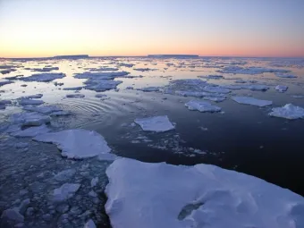 Antarctic sea-ice. Photo by Dr. Andrew Meijers.