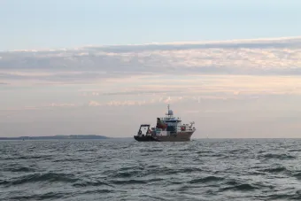 Seabed sampling was supported by the RRS James Cook and RRS Discovery