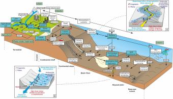 This diagram shows the likely sources, pathways and accumulation points for microplastics in the ocean.
