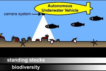 Photographic survey by autonomous underwater vehicle 