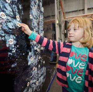 Ocean and Earth Day 2015