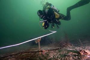 Monitoring by divers (credit: Henrik Stahl of SAMS)