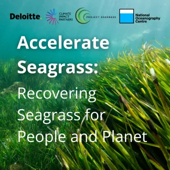 A new programme announced today by Climate Impact Partners and Deloitte, in collaboration with Project Seagrass, will channel critical funding to support seagrass restoration