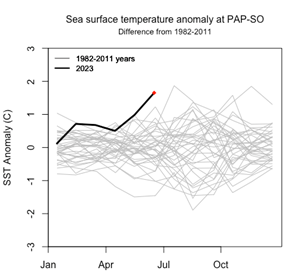 The sea surface temperature in 2023 is much higher than the mean (1982–2011) and began to increase substantially about six weeks ago