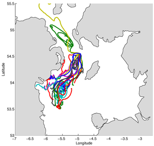 Trajectories of 24 passive particles released in the western Irish Sea during spring 2005