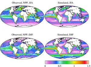 Observed vs MEDUSA-simulated primary production for northern summer (top) and northern winter (bottom) [from Yool et al., 2013]