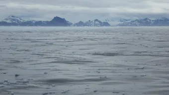 A dark ocean surface littered with ice, an inhospitable and remote location