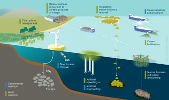 Schematic overview of marine carbon dioxide removal (mCDR) methods included in this Future Science Brief from the European Marine Board. Credit: Rita Erven, GEOMAR (CC BY 4.0)