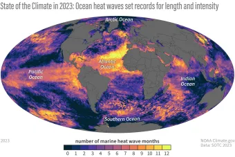 Global map of the number of months each ocean location experienceed heatwave conditions in 2023, showing how large parts of each ocean basin experienced at least a few months of extreme heat.