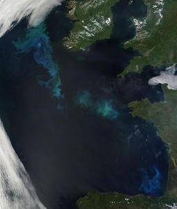 Saharan dust triggers plankton blooms that can be seen from space by satellite (courtesy: NASA, May 2010)