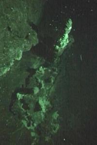 One of the newly discovered vents