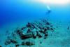 Shipwrecks and submerged worlds – 2 October 2014