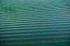 Sea surface where algal blooms can form