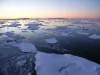 Antarctic sea-ice. Photo by Dr. Andrew Meijers.