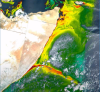 Satellite Chlorophyll image from June 2019 indicating the presence of phytoplankton during the Somali Upwelling